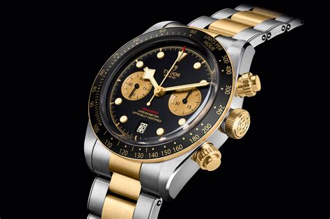 tudor black bay chrono s&g.